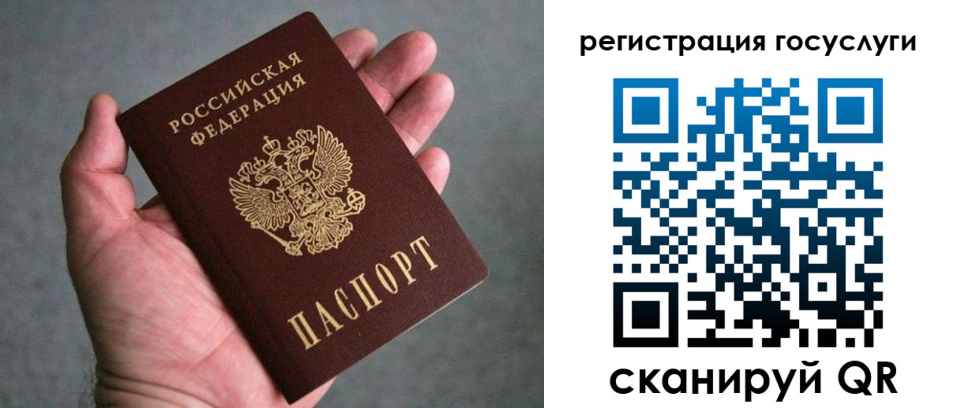 прописка поиск в Ермолино